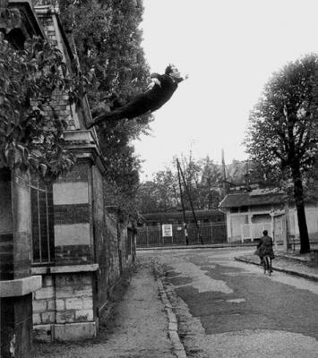 Obsesión por la levitación (Yves Klein)